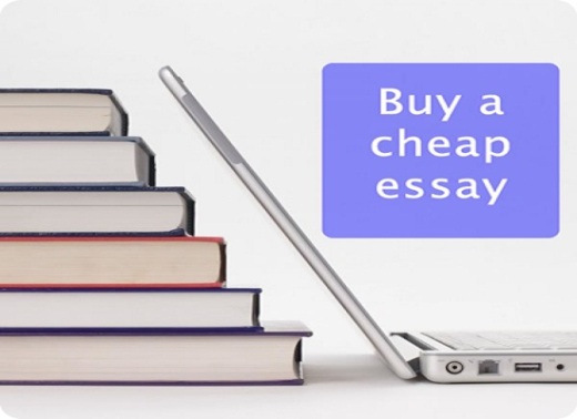 cheap_essay_writing_services